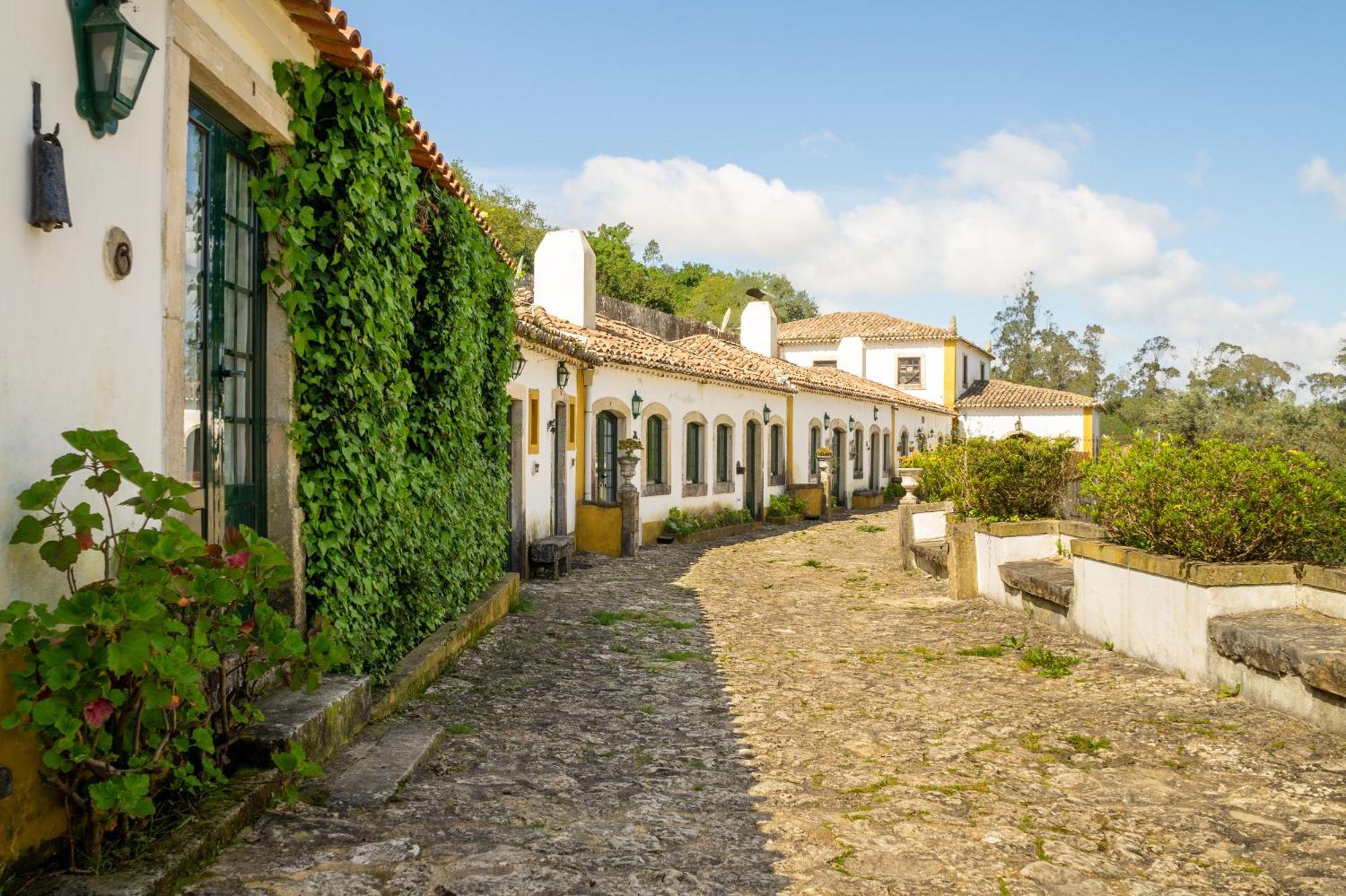 Farm stay Quinta Do Brejo - Turismo Equestre *